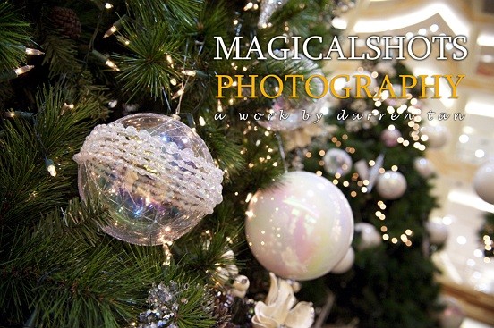 Wedding Photographer Malaysia Christmas 2008