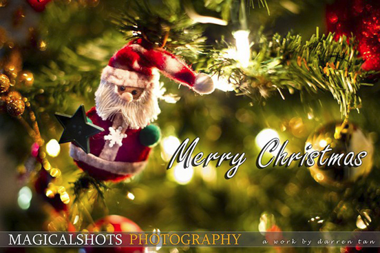 International Award Winning Wedding Photographer International Award Winning Wedding Photographer