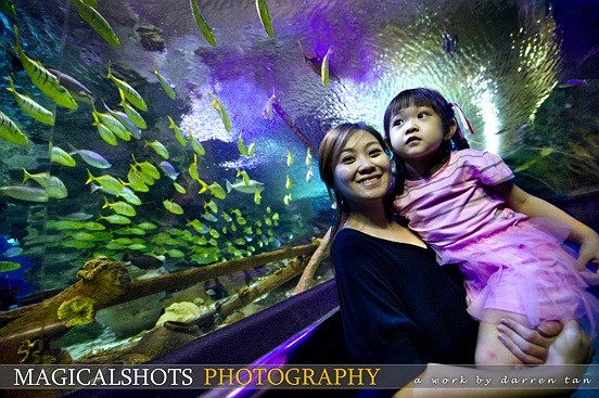 International Award Winning Wedding Photographer