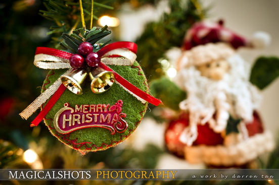 International Award Winning Wedding Photographer International Award Winning Wedding Photographer