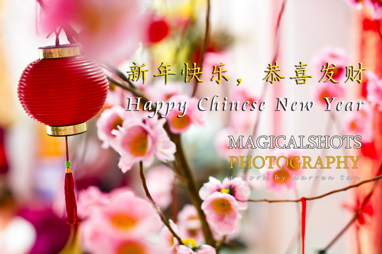 International Award Winning Wedding Photographer International Award Winning Wedding Photographer