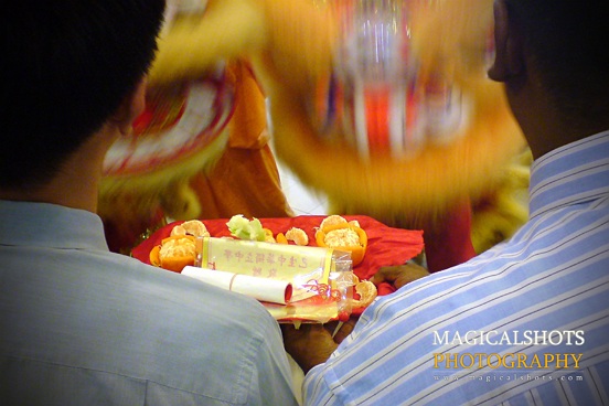 Lion Dance Lion Dance