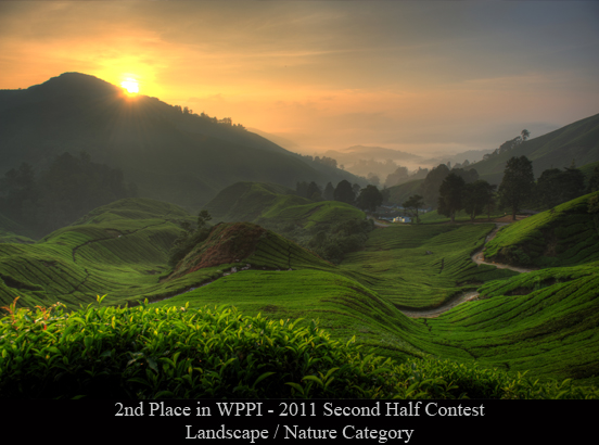 International Award Winning Wedding Photographer International Award Winning Wedding Photographer